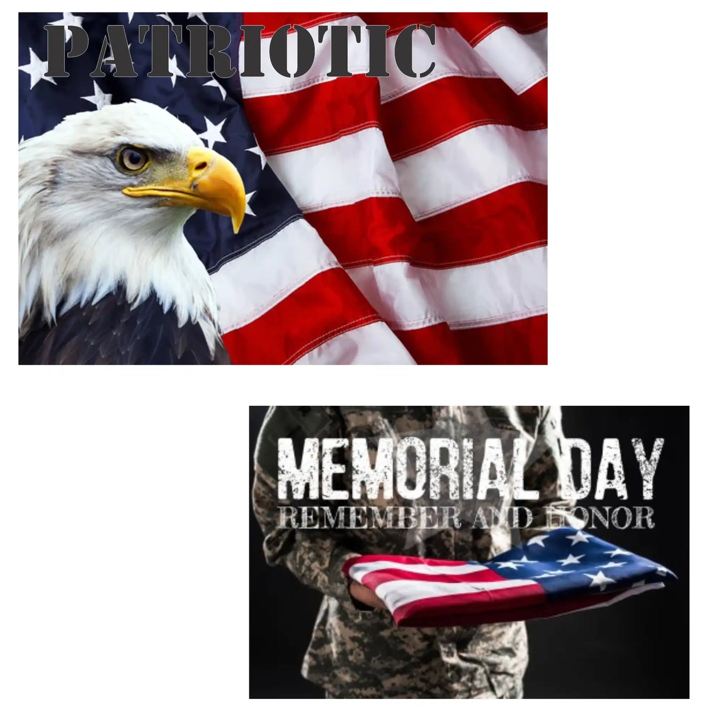 FANSTIK BallPoint pen with US Flag (MADE IN USA) stainless steel, luxury engraved pen for men and for women (US-Flag)